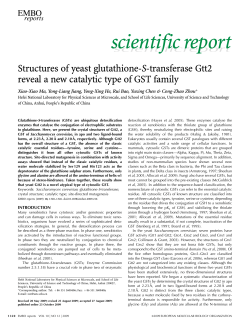Structures of yeast glutathione-S-transferase Gtt2 reveal a new