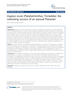Dugesia sicula (Platyhelminthes, Tricladida): the colonizing success