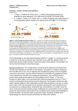 AP3161 - Cellular Dynamics (Due in class on 20 May 2016