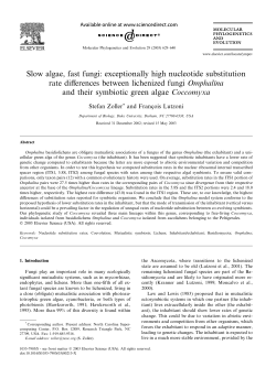 Slow algae, fast fungi: exceptionally high nucleotide