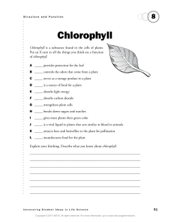 Chlorophyll - RPS Cloud Server