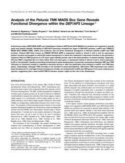 Analysis of the Petunia TM6 MADS Box Gene Reveals Functional