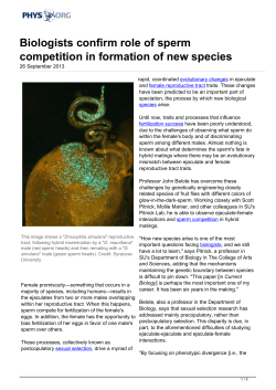 Biologists confirm role of sperm competition in formation