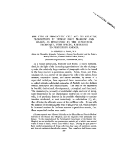 the type of phagocytic cell and its relative proportions in human