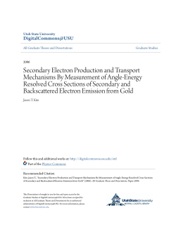 Secondary Electron Production and Transport Mechanisms By