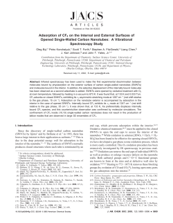 Adsorption of CF4 on the Internal and External Surfaces of Opened