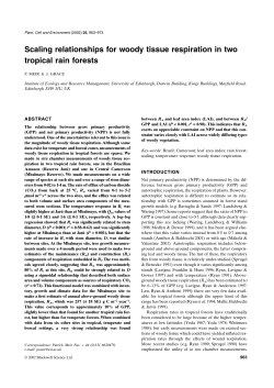 Scaling relationships for woody tissue respiration in two tropical rain