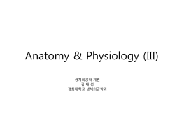 Lecture Note 04-2: Neuron