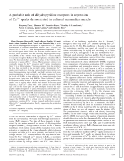 A probable role of dihydropyridine receptors in