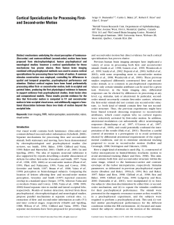 Cortical Specialization for Processing First- and