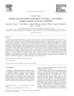 Cellular and sub-cellular localisation of GABA and GABA receptor