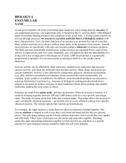 Enzyme Lab Activity - professor phommasaysy