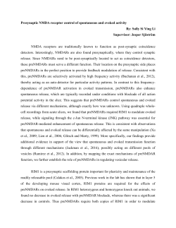 Presynaptic NMDA receptor control of spontaneous and evoked