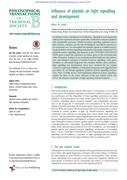 Influence of plastids on light signalling and development