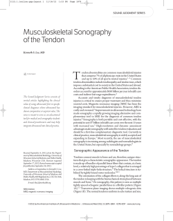 Musculoskeletal Sonography of the Tendon
