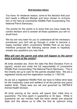 Bird Donation Advice You have, for whatever reason, come to the