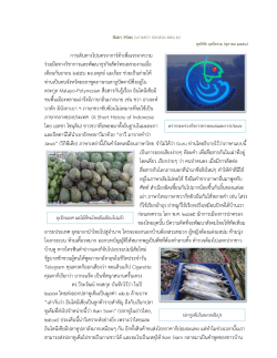 Ikan Hias ( 2) 2556 . Malayo-Polynesian (A Short History of