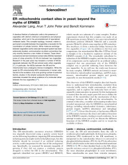 ER&ndash;mitochondria contact sites in yeast: beyond the myths of ERMES