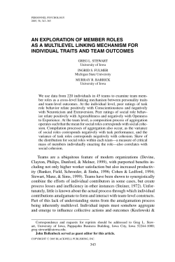 AN EXPLORATION OF MEMBER ROLES AS A MULTILEVEL