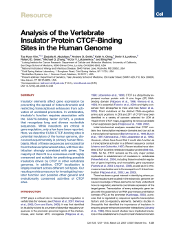 Analysis of the Vertebrate Insulator Protein CTCF