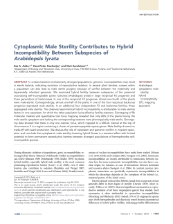 Cytoplasmic Male Sterility Contributes to Hybrid Incompatibility