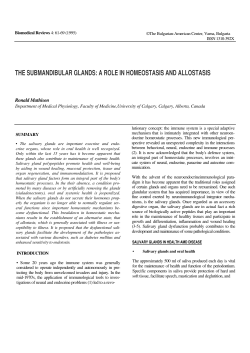 the submandibular glands: a role in homeostasis and allostasis