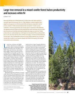 Large-tree removal in a mixed-conifer forest halves