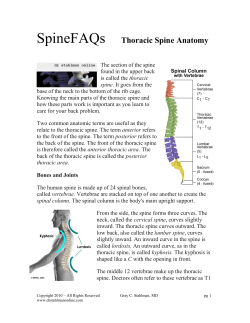 Thoracic Anatomy
