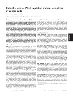 Polo-like kinase (Plk)1 depletion induces apoptosis in cancer cells