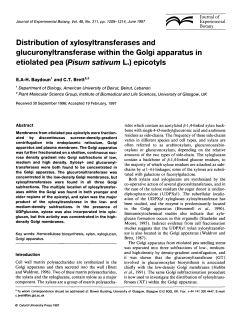 Distribution of xylosyltransferases and glucuronyltransferase within