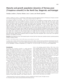 Maturity and growth population dynamics of Norway pout