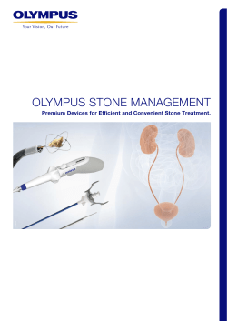OLYMPUS STONE MANAGEMENT