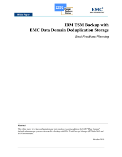 IBM TSM Backup with EMC Data Domain Deduplication Storage