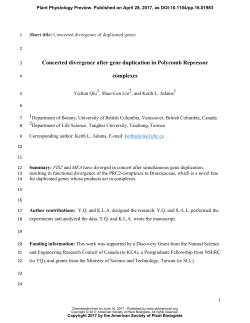 Concerted divergence after gene duplication in