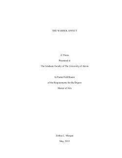 THE WARHOL EFFECT A Thesis Presented to The Graduate Faculty