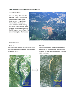 Pollution Solution -part B