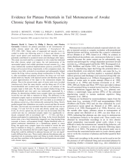 Evidence for Plateau Potentials in Tail Motoneurons of Awake