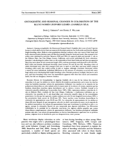 ontogenetic and seasonal changes in coloration of the blunt