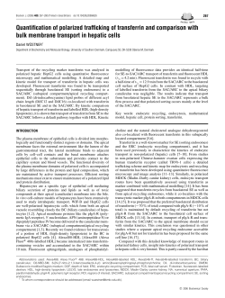 Quantification of polarized trafficking of transferrin and comparison