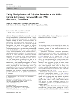 Ploidy Manipulation and Polyploid Detection in the White