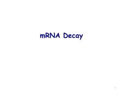 mRNA - e-learning