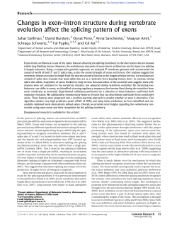 Changes in exon&ndash;intron structure during vertebrate evolution affect