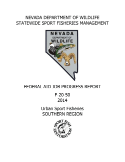 NEVADA DEPARTMENT OF WILDLIFE STATEWIDE SPORT