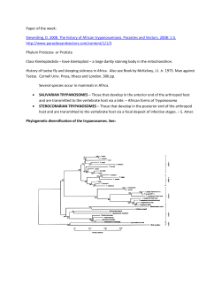 Paper of the week: Steverding, D. 2008. The history of African