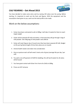 CALF REARING – Get Ahead 2013 Work on the below assumptions: