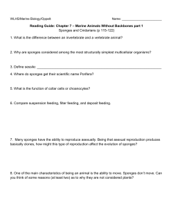 Reading Guide: Chapter 7
