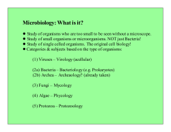 Microbiology: What is it?