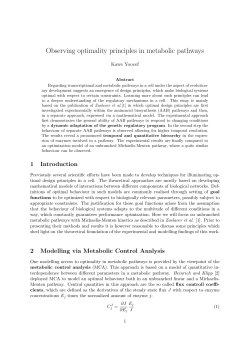 Observing optimality principles in metabolic pathways