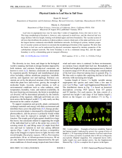 physical limits to leaf size in tall trees