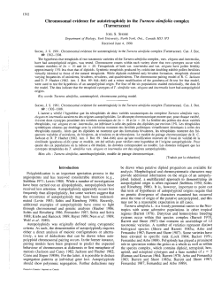 Chromosomal evidence for autotetraploidy in the